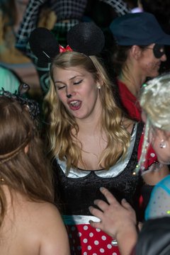 Bild 731 - Latuff Wiemersdorf